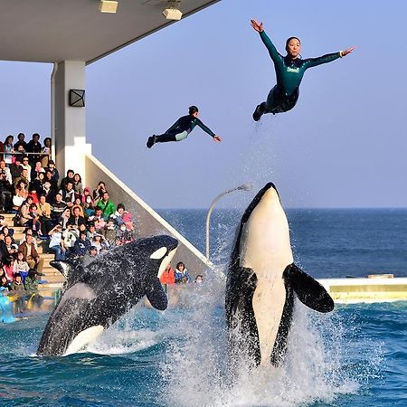 Kamogawa Sea World Hotel Exteriör bild