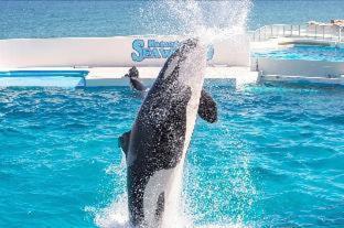 Kamogawa Sea World Hotel Rum bild