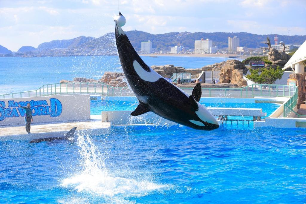 Kamogawa Sea World Hotel Exteriör bild