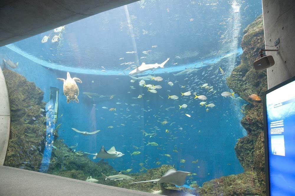 Kamogawa Sea World Hotel Exteriör bild