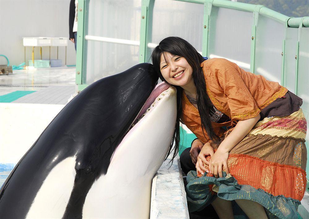 Kamogawa Sea World Hotel Exteriör bild