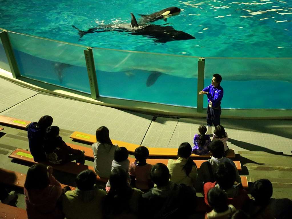 Kamogawa Sea World Hotel Bekvämligheter bild